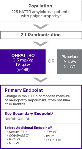 Phase 3 trial in adult patients with the polyneuropathy of hATTR amyloidosis